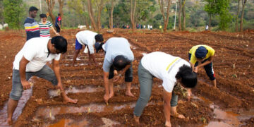 EY Global Delivery Services celebrates International Volunteering Day Week